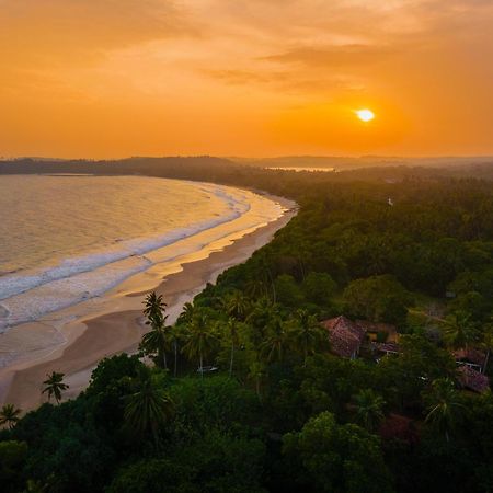 The Last House Tangalle Bagian luar foto